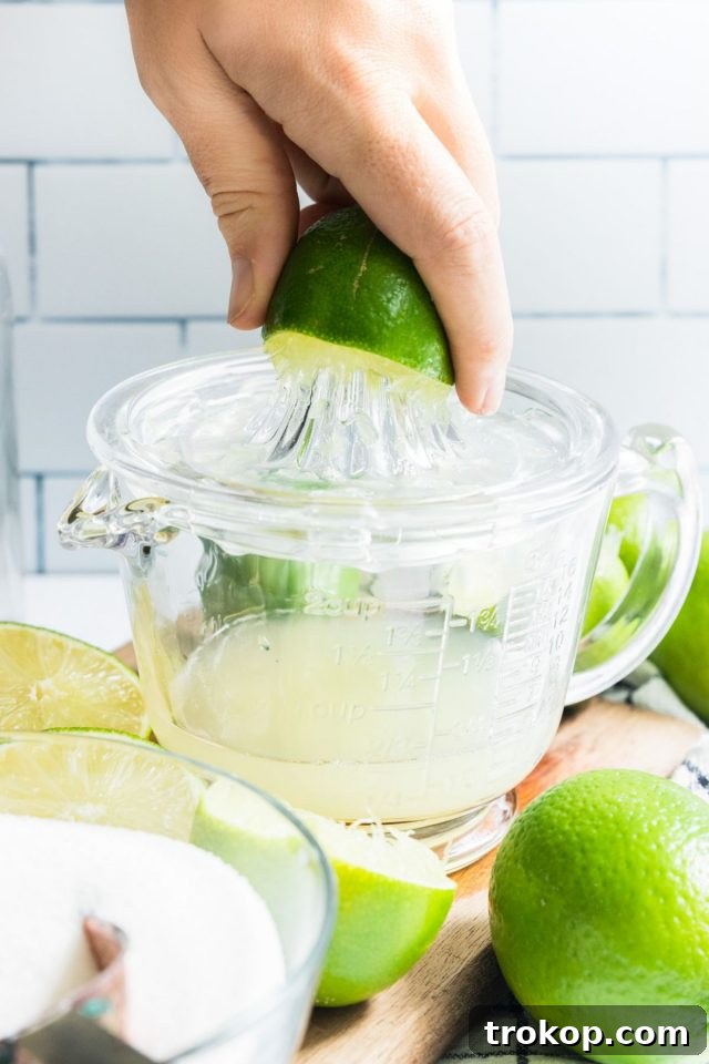 Refreshing Homemade Limeade 5 A hand juicing a fresh lime into a glass, highlighting the process of extracting fresh lime juice for the limeade.
