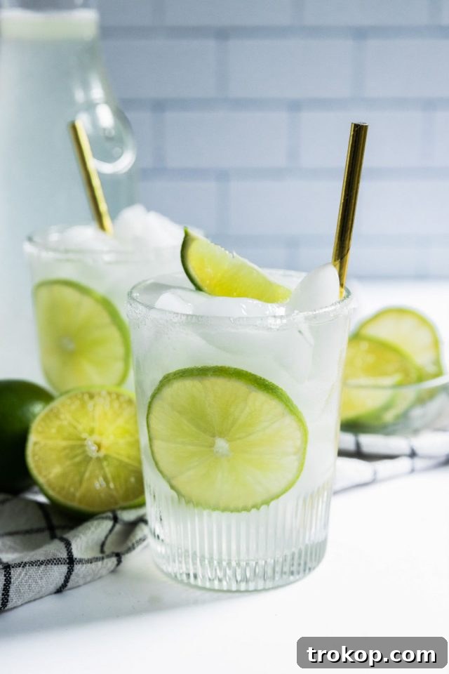 Refreshing Homemade Limeade 8 A glass of simple limeade garnished with a sugared rim, emphasizing presentation.