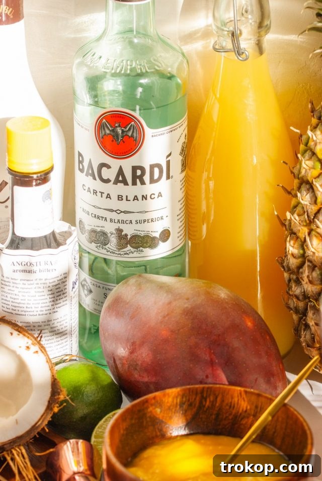 Crafting the Perfect Bacardi Rum Punch 4 dark rum - alcochol and juice beverages