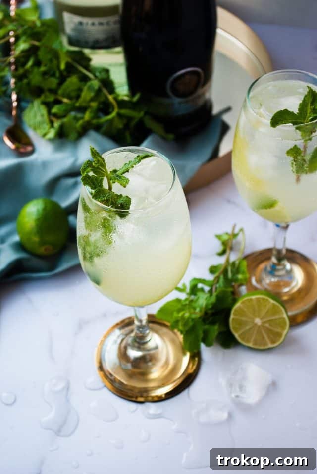 Martini Royale Cocktail: A Bubbly Delight 2 Martini Royale Cocktail - A Refreshing Aperitivo