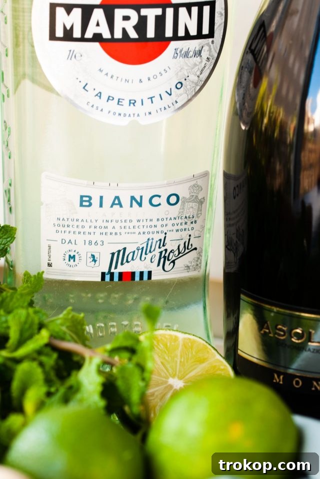 Martini Royale Cocktail: A Bubbly Delight 3 Martini Royale Ingredients - Prosecco, Martini Bianco, Lime, Mint