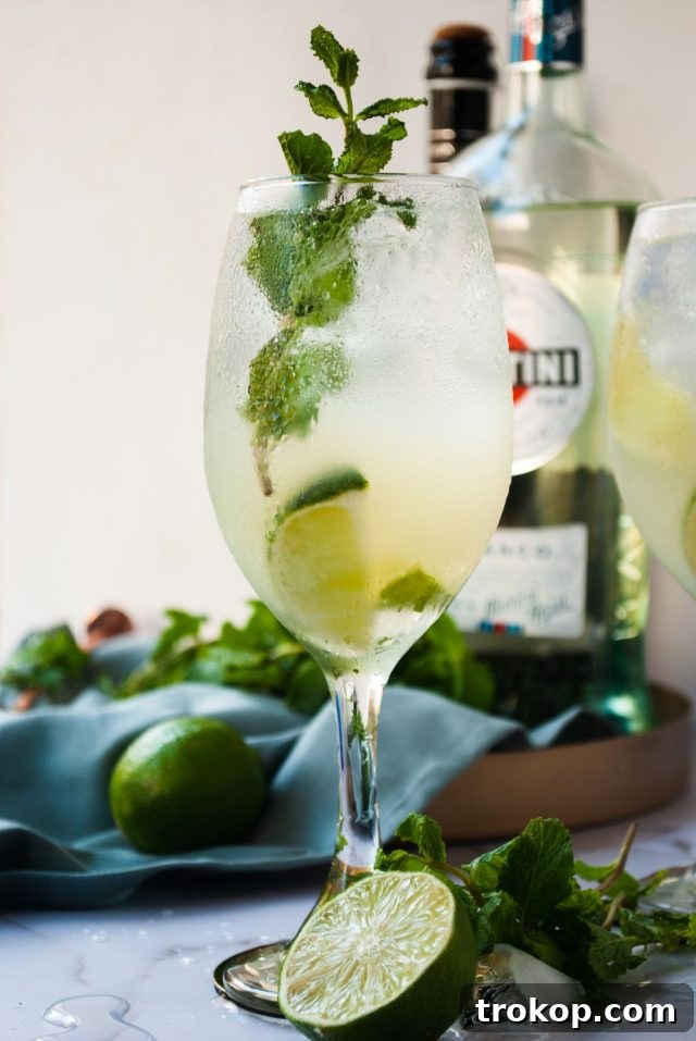 Martini Royale Cocktail: A Bubbly Delight 7 Delicious Martini Royale Cocktail - Ready to Enjoy