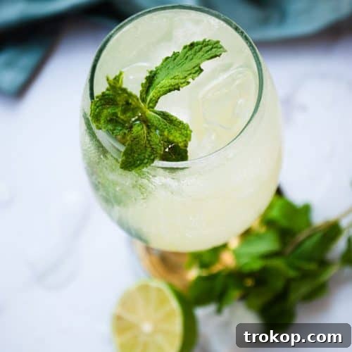 Martini Royale Cocktail: A Bubbly Delight 9 Martini Royale in a Glass - Ready to Serve