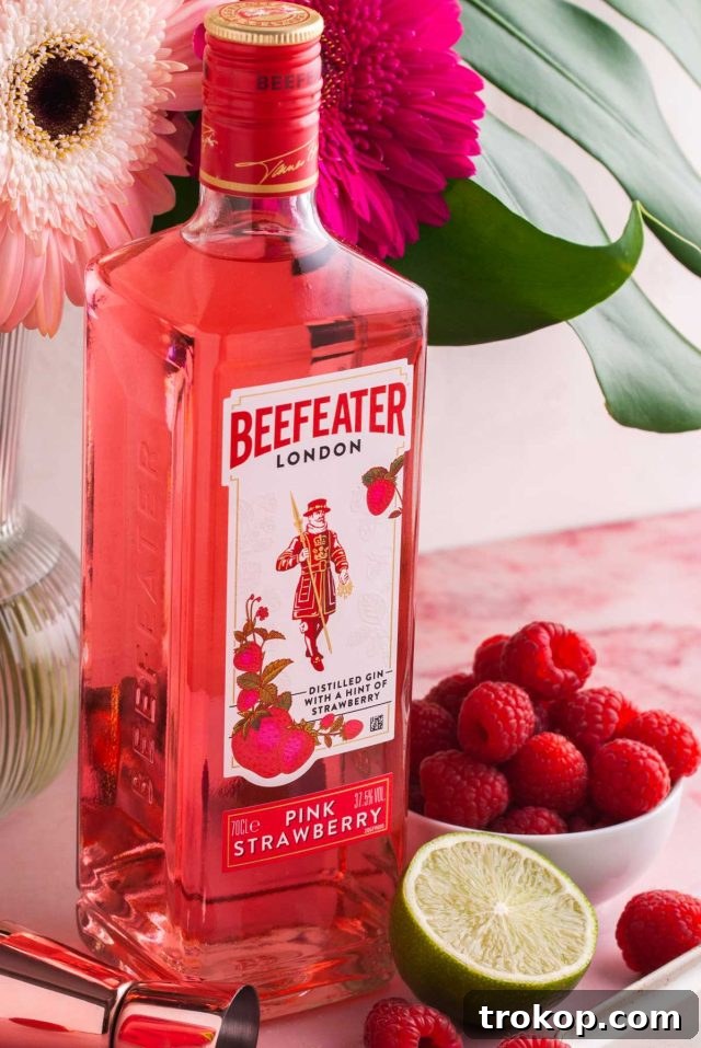 Crafting the Perfect Pink Gin Spritz 3 drink to make with gin - ingredients used to make the cocktail