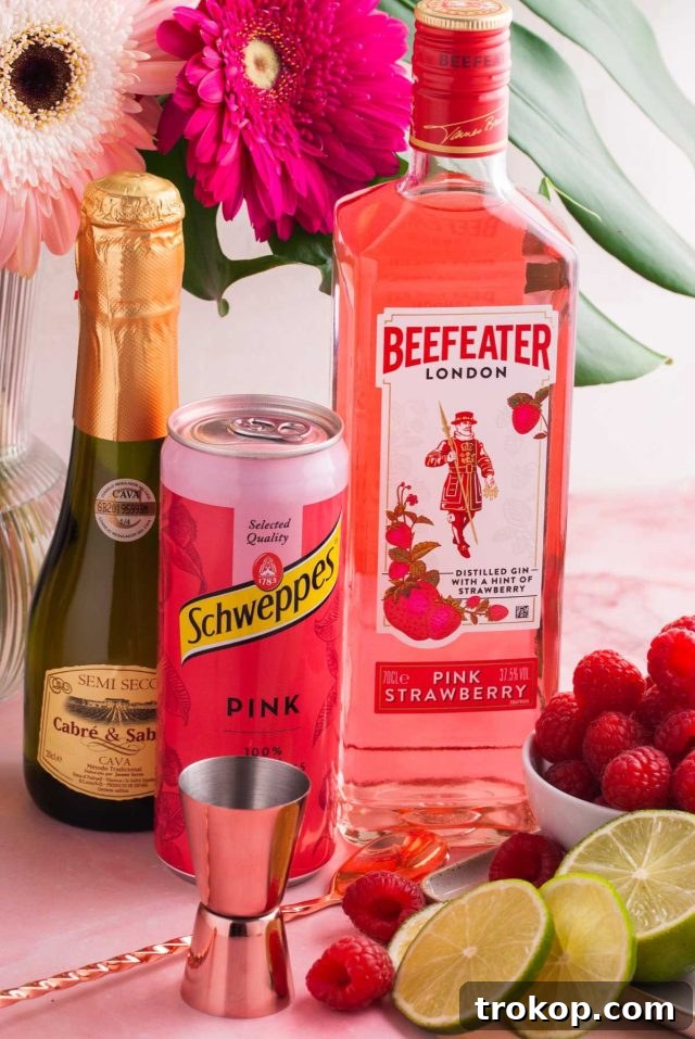 Crafting the Perfect Pink Gin Spritz 5 giz fizz - pink liquor