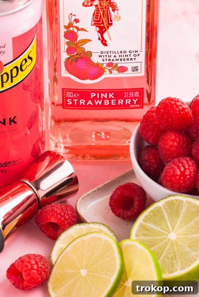 Crafting the Perfect Pink Gin Spritz 7 pink premium mixer - ingredients used to make the pink drink