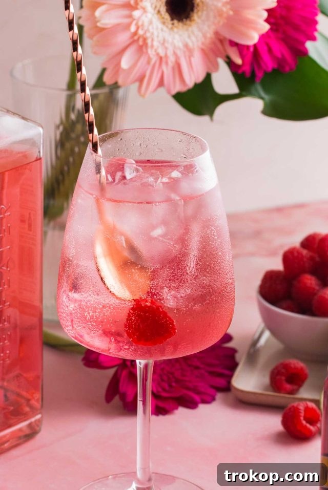 Crafting the Perfect Pink Gin Spritz 9 what do you mix with gin - a single cocktail serving