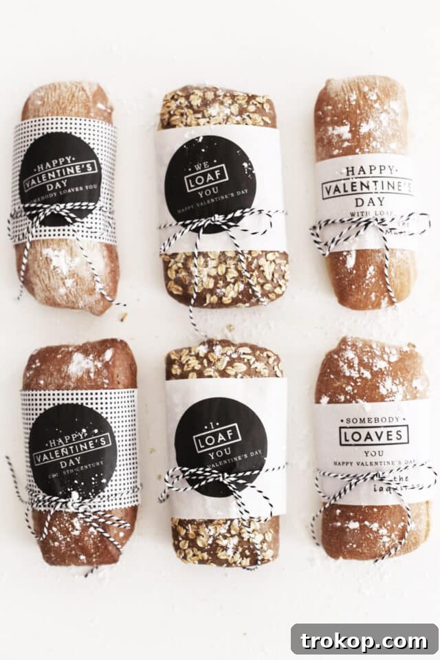Heartfelt Handmade Valentines 12 Somebody Loaves You Valentine for Thoughtful DIY Valentine’s Day Gifts