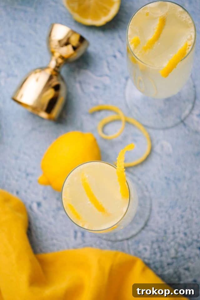 Gin and champagne cocktail - top view of a French 76 cocktail, showcasing its clear, bubbly texture and a delicate lemon twist garnish.