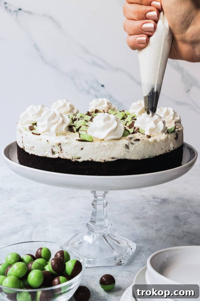 Decorating the Mint Aero cheesecake with freshly whipped cream piped onto the top
