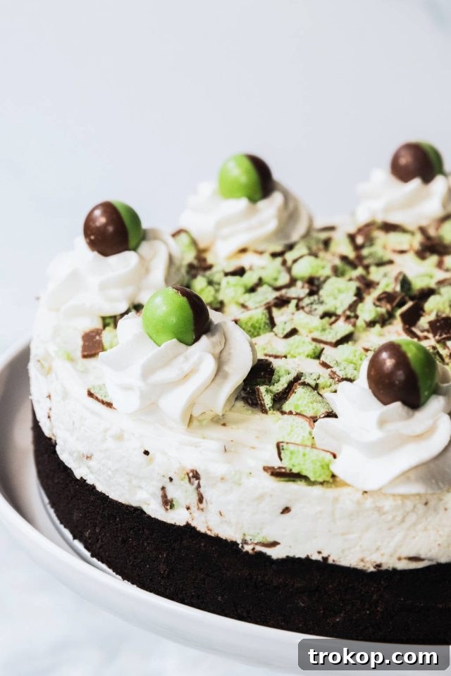 A vibrant green peppermint cheesecake adorned with fluffy whipped cream and scattered Aero bubbles on top