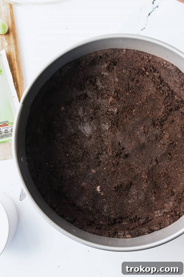 The chocolate cookie crust pressed firmly into a springform pan, ready for the filling