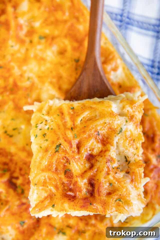 17 Brilliant Ways to Reinvent Leftover Spaghetti 9 Spaghetti Cheese Casserole