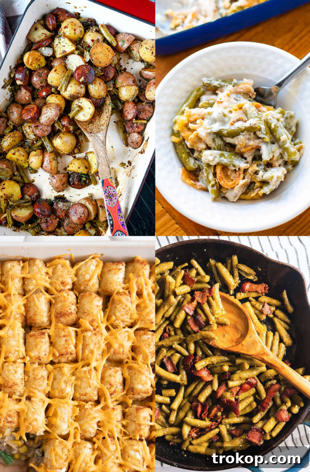 From Pantry to Plate: Easy Canned Green Bean Ideas 2 Canned Green Bean Recipes - A vibrant dish featuring perfectly cooked green beans