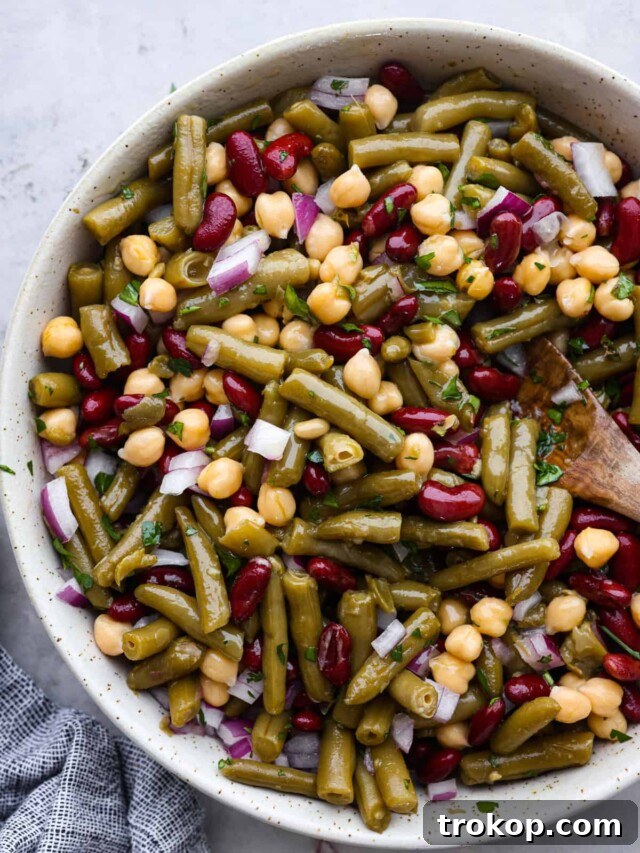 From Pantry to Plate: Easy Canned Green Bean Ideas 7 Three Bean Salad Recipe
