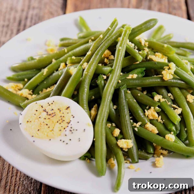 From Pantry to Plate: Easy Canned Green Bean Ideas 8 German Green Bean Salad for easy canned green bean recipes