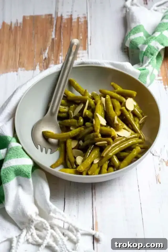 From Pantry to Plate: Easy Canned Green Bean Ideas 9 Cold Canned Green Bean Salad for canned green bean recipes