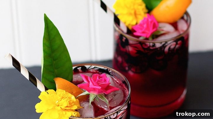Dark & Stormy Cocktail Recipe