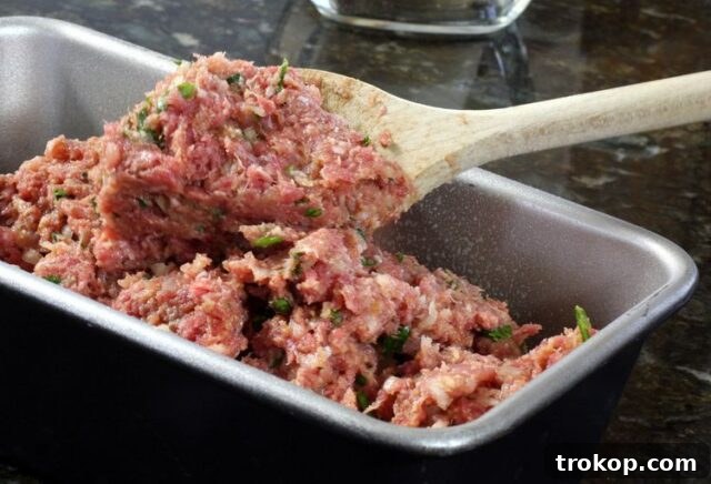 Vintage Meatloaf and Vegetable Soup