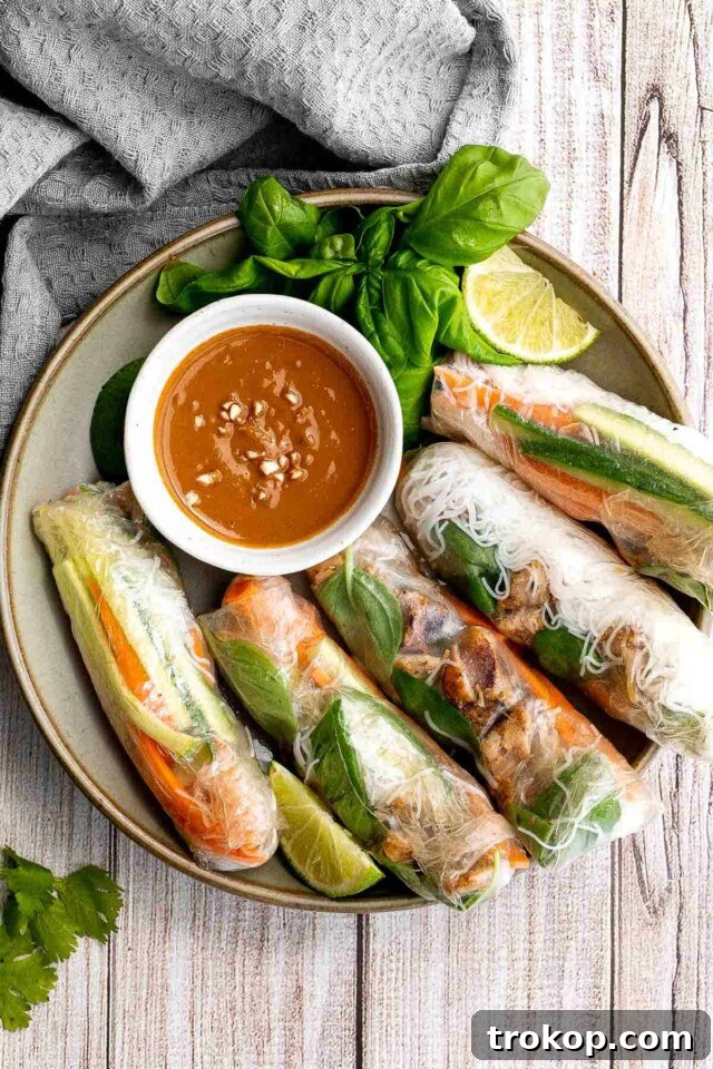 Fresh Vietnamese summer rolls with chicken and herbs