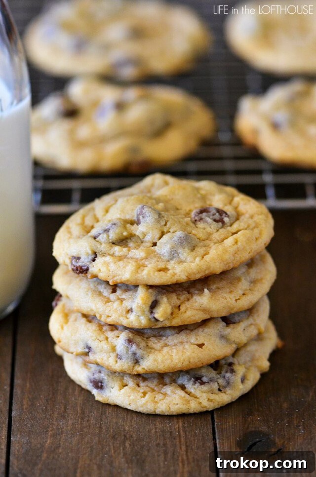 Easy Bisquick Chocolate Chip Cookies