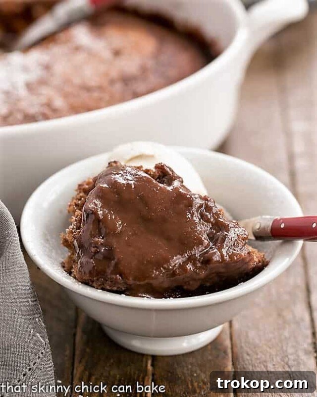 Easy Bisquick Chocolate Pudding Cake