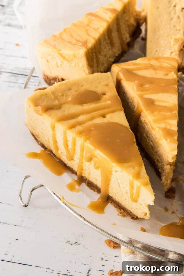 Decadent Baked Caramilk Cheesecake 2 The best Caramilk Cheesecake recipe, a decadent dessert by Sugar and Cloth