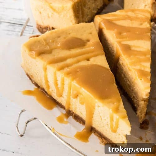 Decadent Baked Caramilk Cheesecake 11 The best Caramilk Cheesecake | recipe by Sugar and Cloth