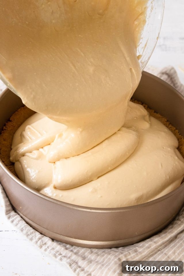 Decadent Baked Caramilk Cheesecake 8 Pouring the Caramilk cheesecake filling into the springform pan over the baked crust