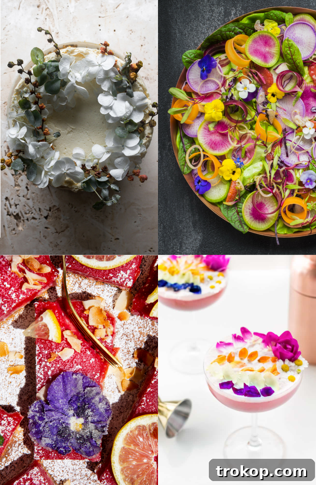 Feasting on Flowers: 19 Unique Recipes 2 Edible Flowers Recipes for Culinary Delights