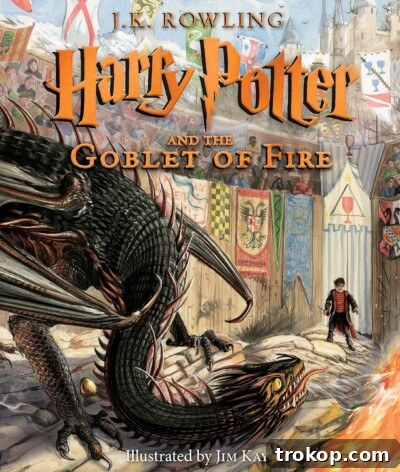 Harry Potter Gifts Every Fan Will Adore 33 Harry Potter and the Goblet of Fire: The Illustrated Edition by Jim Kay.