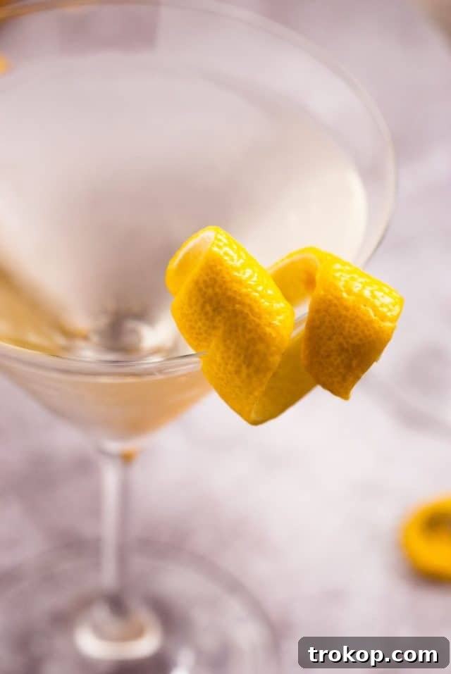 Shake It Up 11 Vodka Martini Variations 2 A perfectly crafted vodka martini garnished with a lemon twist, embodying elegance.