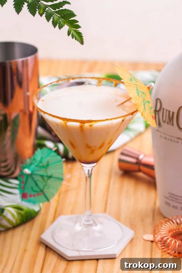 Shake It Up 11 Vodka Martini Variations 10 A creamy vanilla Rumchata martini, garnished with cinnamon stick and a sprinkle of cinnamon powder.