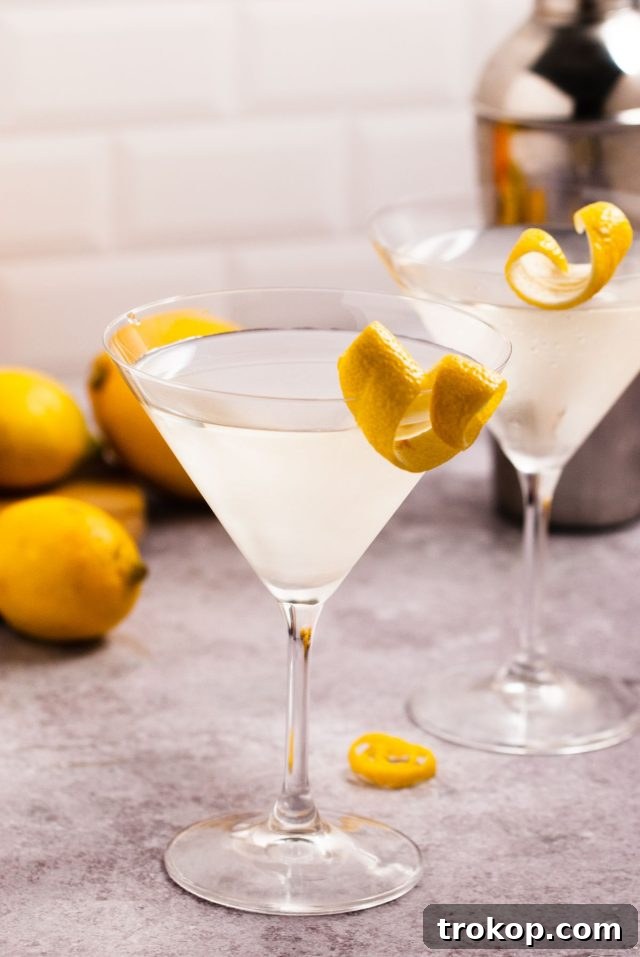 Shake It Up 11 Vodka Martini Variations 3 A classic vodka martini with a delicate lemon twist, served in an elegant martini glass.