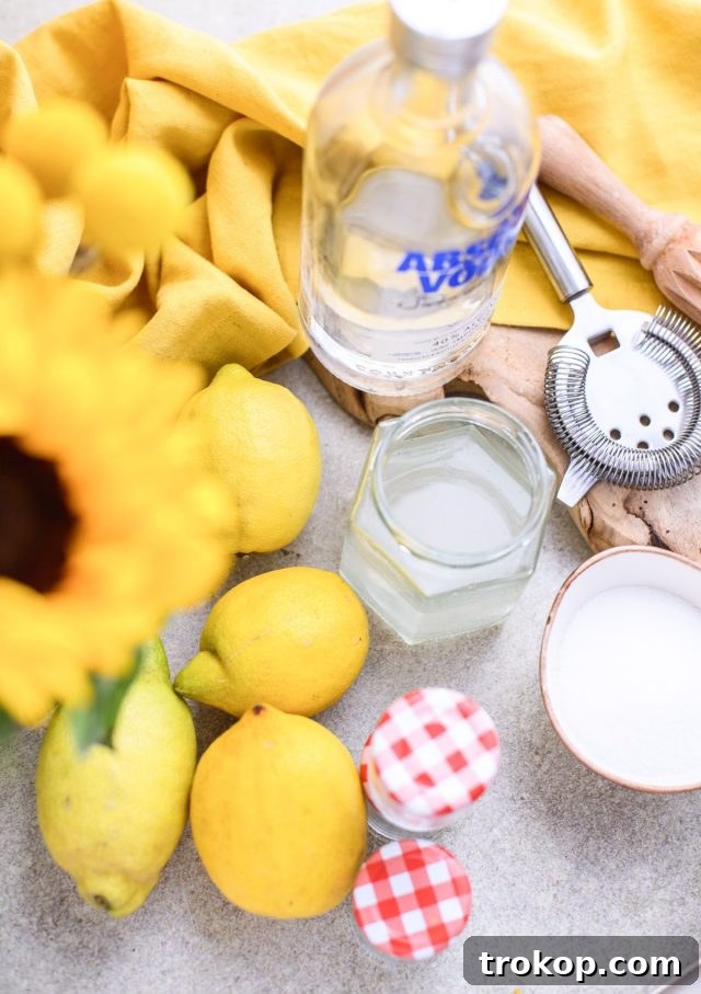 lemon drop shot ingredients and equipment