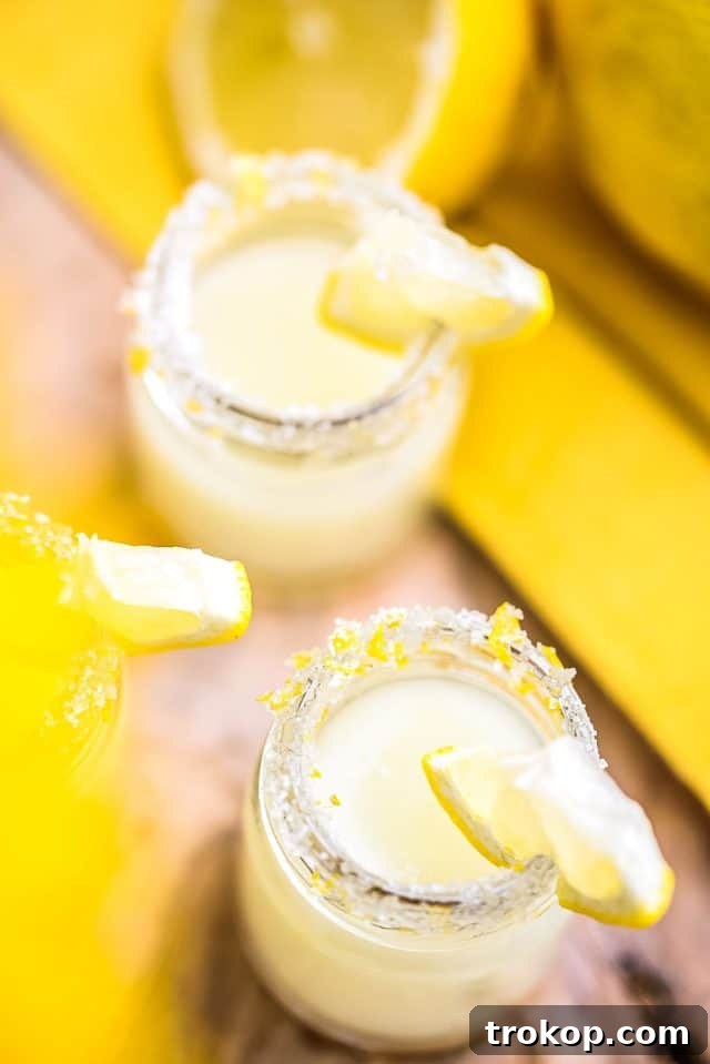 close up shot of lemon drop vodka shot recipes