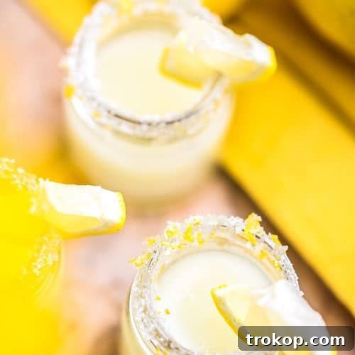 close up shot of lemon drop vodka shot recipes