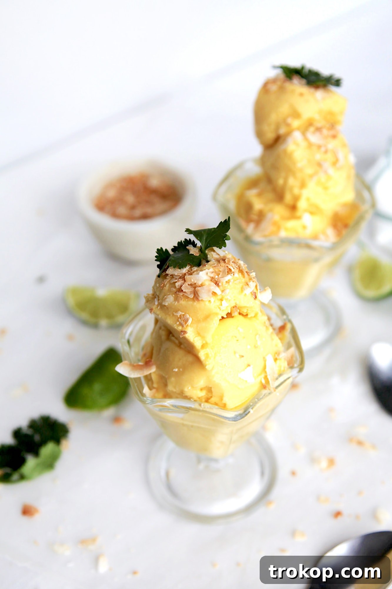 Hawaiian Heaven: 25 Effortless Island Recipes 7 Cilantro and Mango Coconut Sorbet in a bowl