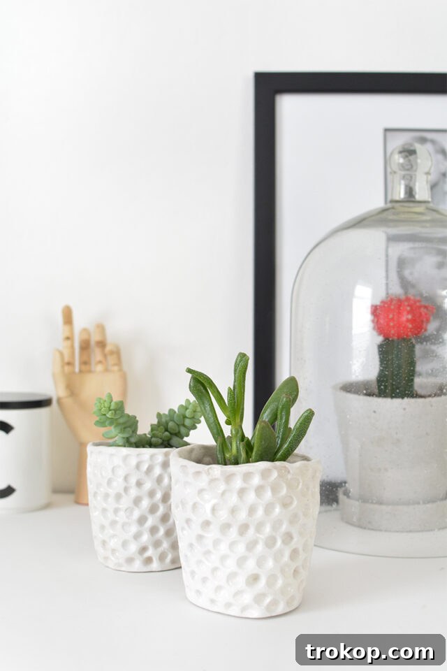 Crafting with Air Dry Clay 30 Ideas for Kids and Grown Ups 3 Textured Succulent Planters for air dry clay projects, showcasing unique surface patterns.