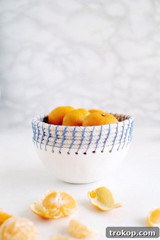 Crafting with Air Dry Clay 30 Ideas for Kids and Grown Ups 8 DIY Clay & Rope Pot for air dry clay projects, showcasing a fusion of textures.