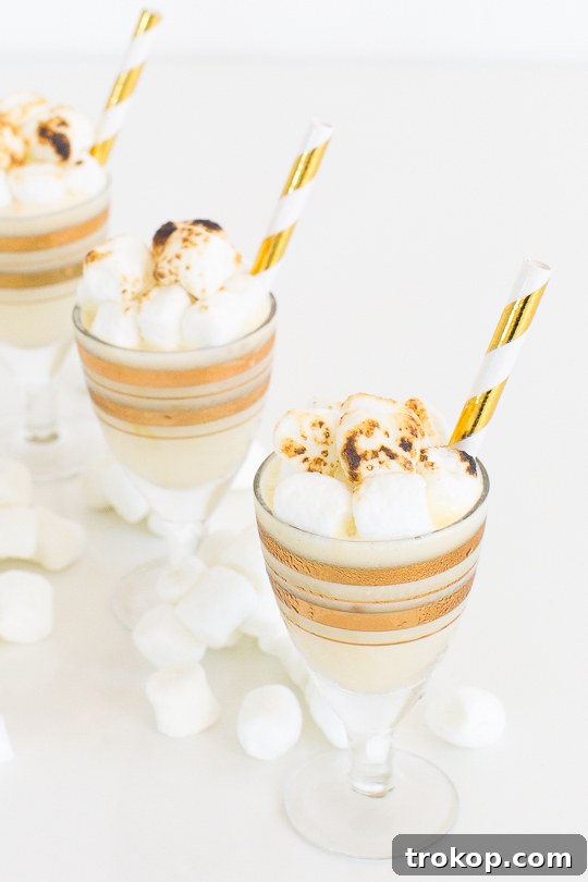 A perfectly garnished Toasted Marshmallow Ice Cream Shot with a toasted marshmallow on top.
