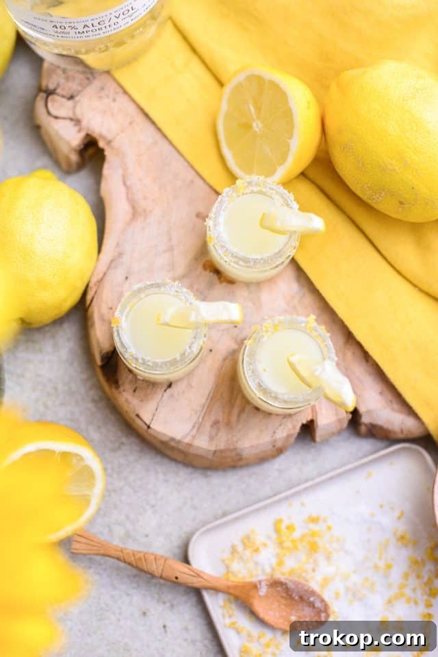 Bright yellow Lemon Drop shots, garnished with fresh lemon slices.