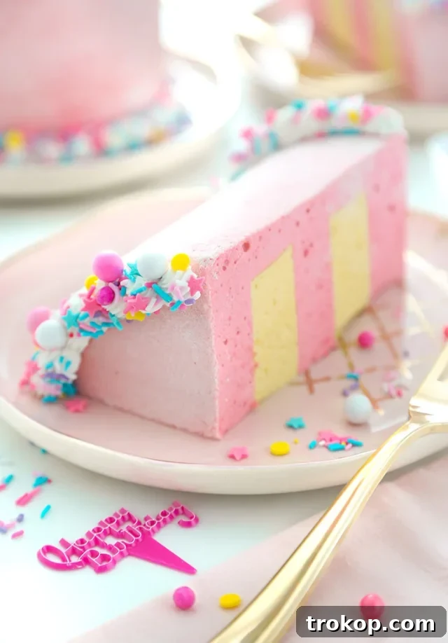 28 Ingenious and Effortless Marshmallow Treats 14 Birthday Cake Slice Marshmallows for recipes with marshmallows
