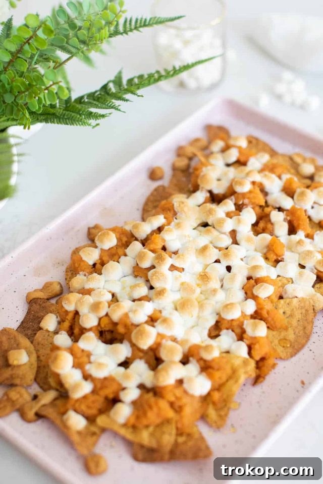 28 Ingenious and Effortless Marshmallow Treats 15 Sweet Potato Nachos