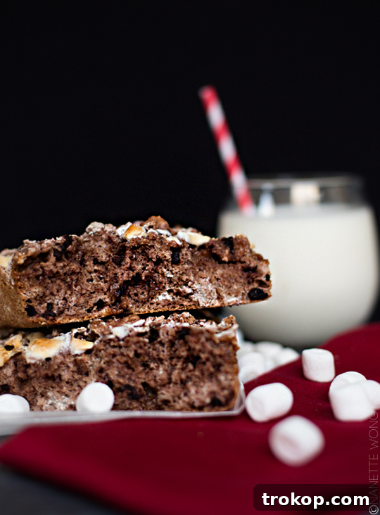 28 Ingenious and Effortless Marshmallow Treats 19 hot chocolate bread recipe perfect for Christmas