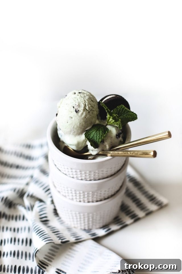 28 Ingenious and Effortless Marshmallow Treats 20 Grasshopper Pie Ice Cream