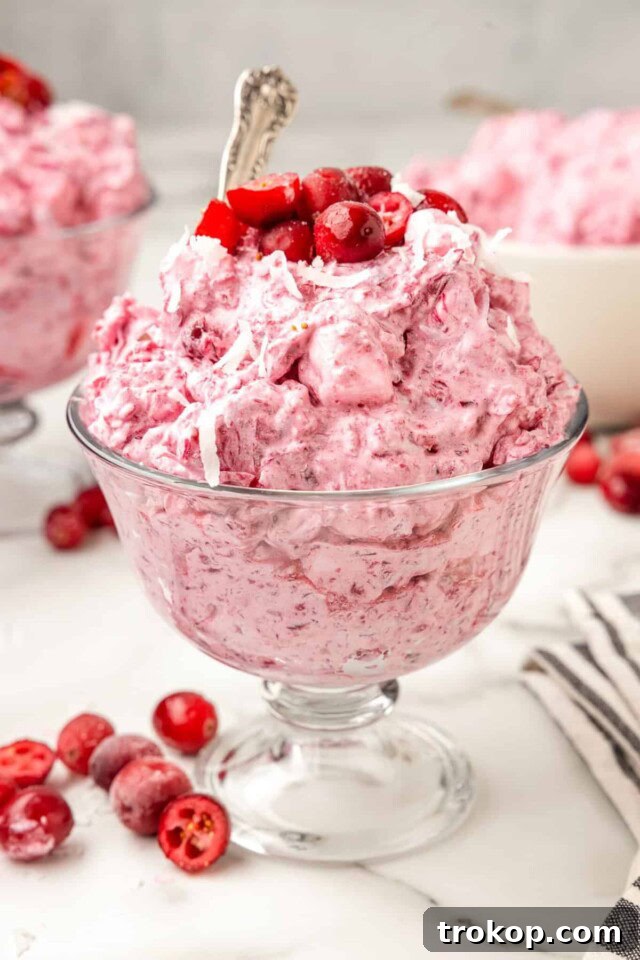 28 Ingenious and Effortless Marshmallow Treats 21 Cranberry Fluff for marshmallow recipes