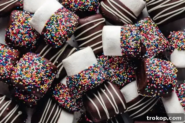 28 Ingenious and Effortless Marshmallow Treats 22 Chocolate-Dipped Marshmallows for recipes with marshmallows