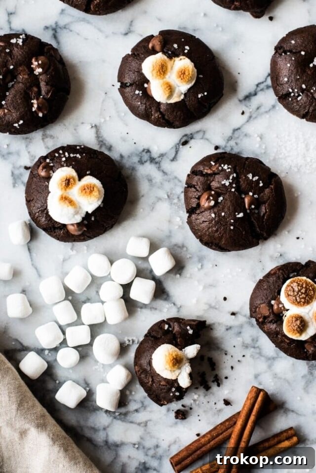 28 Ingenious and Effortless Marshmallow Treats 23 Mexican Hot Chocolate Cookies for recipes with marshmallows