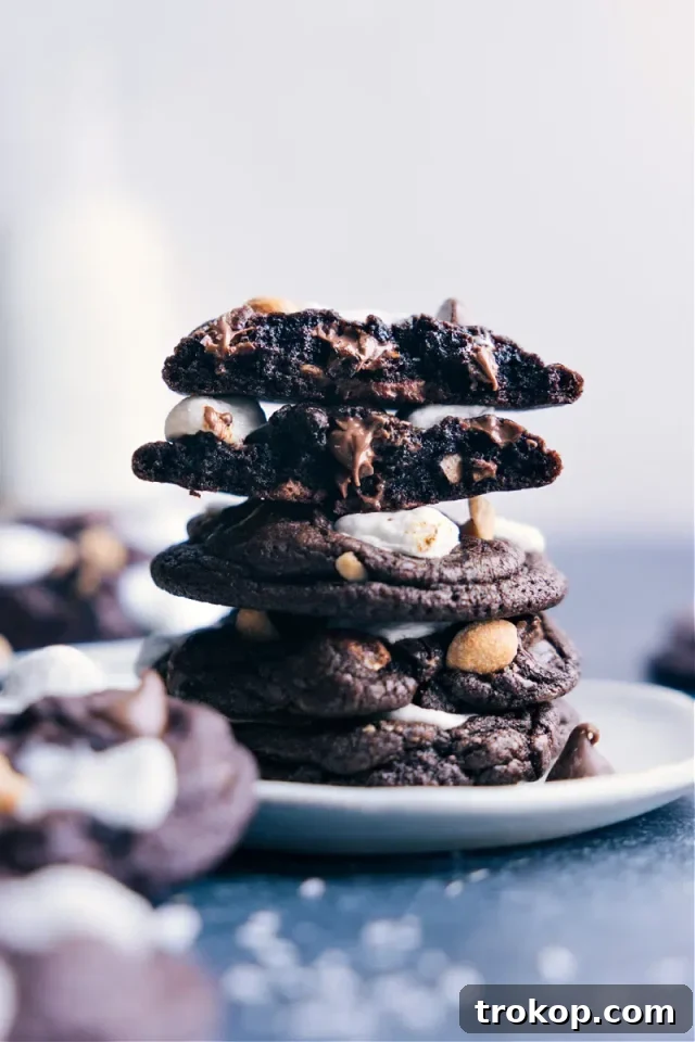 28 Ingenious and Effortless Marshmallow Treats 24 Rocky Road Cookies for marshmallow desserts